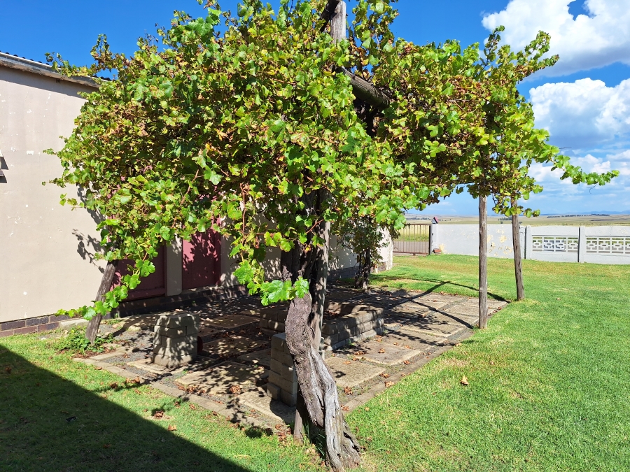 4 Bedroom Property for Sale in Vrede Free State